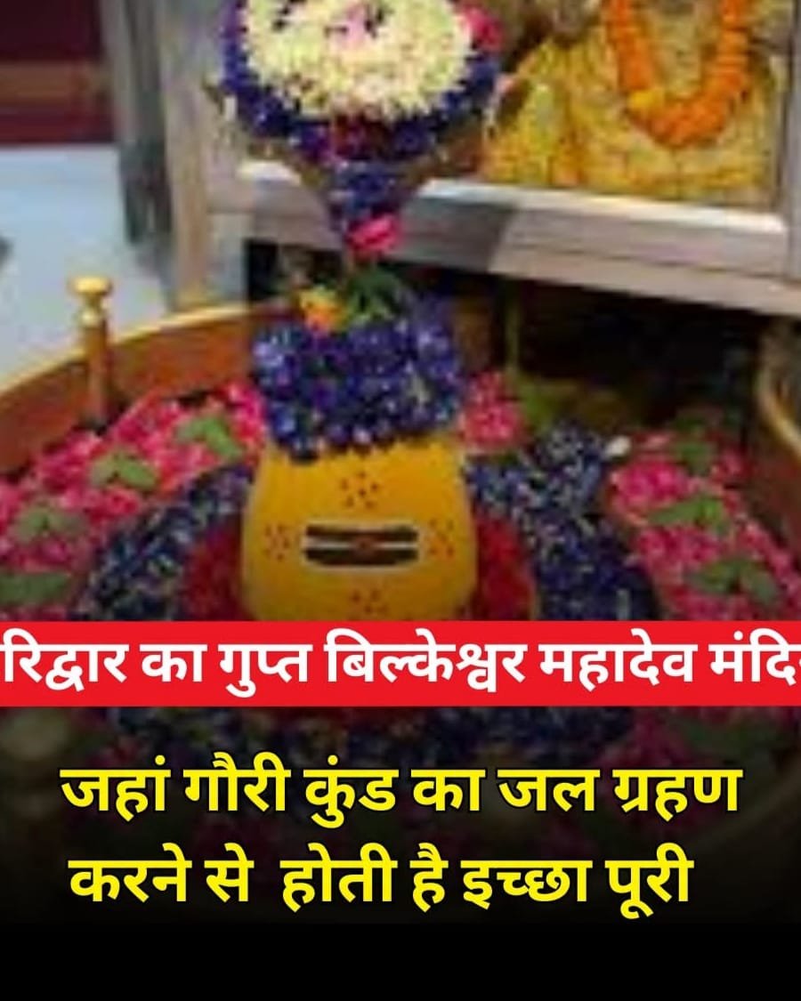 WhatsApp Image 2026-07-07 at 7.53.41 PM